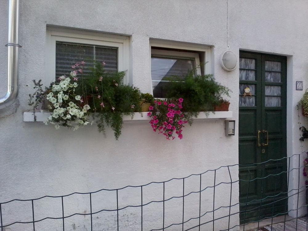 B&B Cappuccini Schio Exterior photo